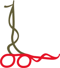 Lalitpur Metropolitan City logo